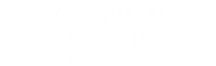Chirino USA Accountants & Advisors logo
